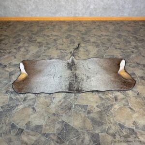 Nilgai Antelope Taxidermy Rug For Sale #23684 @ The Taxidermy Store