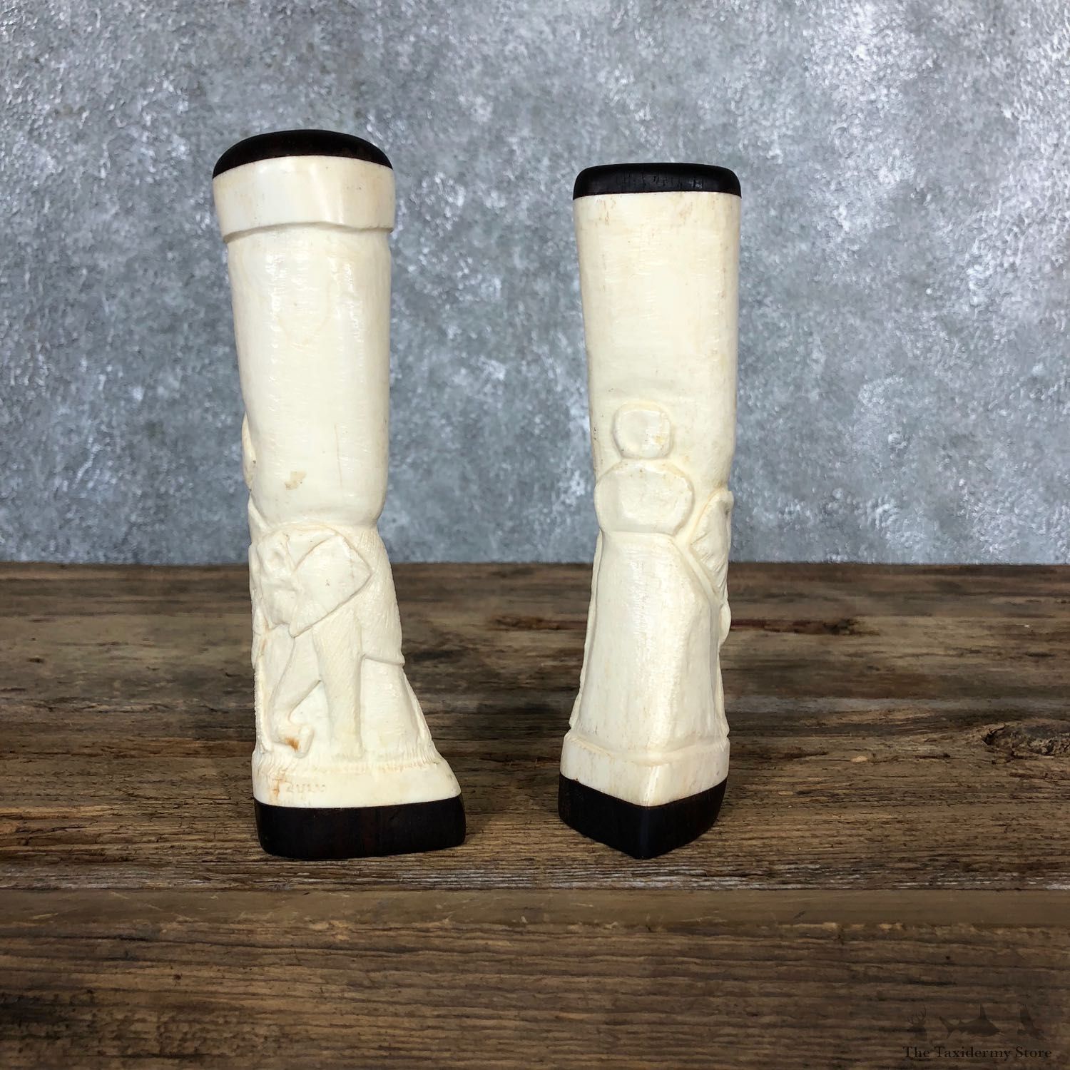 African Giraffe Bone Salt Shakers For Sale #19582 @ The Taxidermy Store