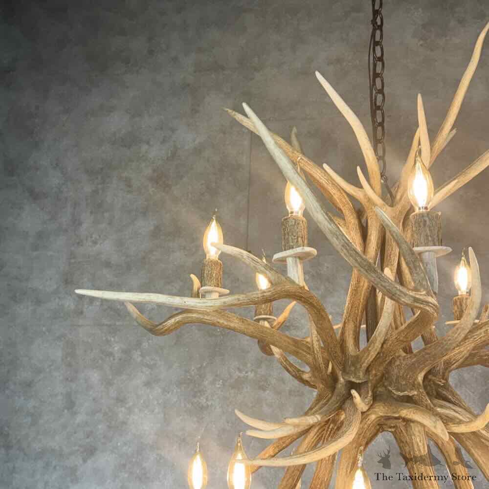 Axis Deer Antler Chandelier For Sale #31643 @ The Taxidermy Store