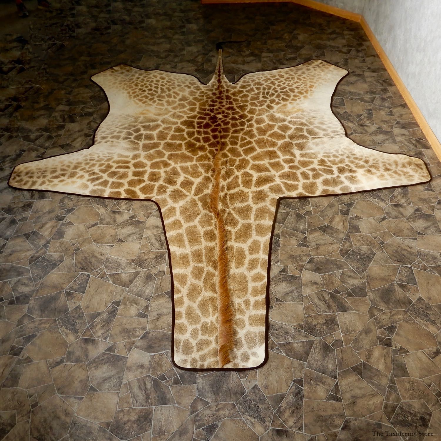African Giraffe Taxidermy Rug For Sale #19312 @ The Taxidermy Store