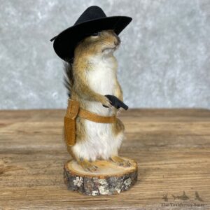 Cowboy Chipmunk Novelty Mount For Sale #24338 @ The Taxidermy Store