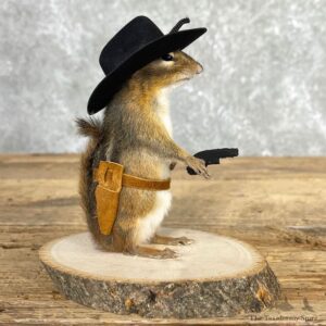 Cowboy Chipmunk Novelty Mount For Sale #24055 @ The Taxidermy Store