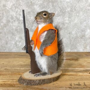 Hunting Squirrel Novelty Mount For Sale #25020 @ The Taxidermy Store