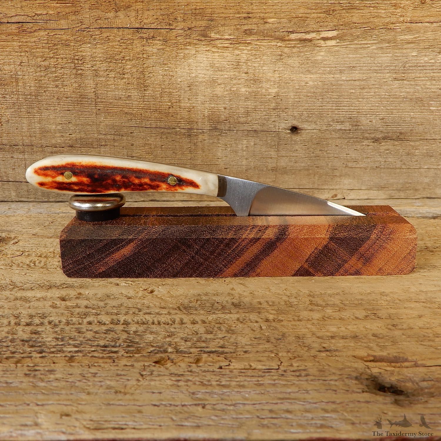 Mini Caper Caping Knife For Sale #19210 @ The Taxidermy Store