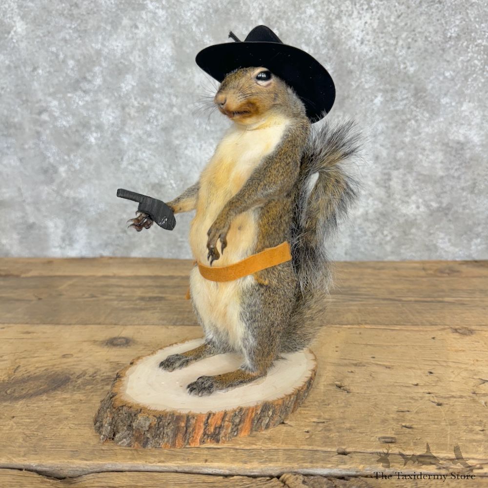 Cowboy Squirrel Novelty Mount For Sale #29482 @ The Taxidermy Store