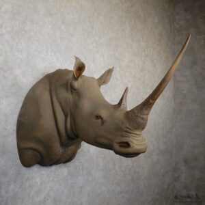 White Rhinoceros Replica Shoulder Mount For Sale #19346 @ The Taxidermy Store