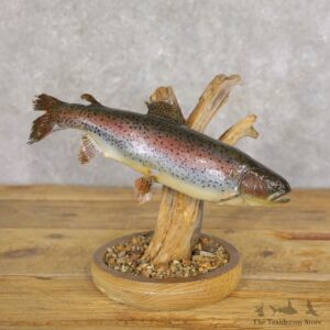Rainbow Trout Fish Mount For Sale #22223 @ The Taxidermy Store