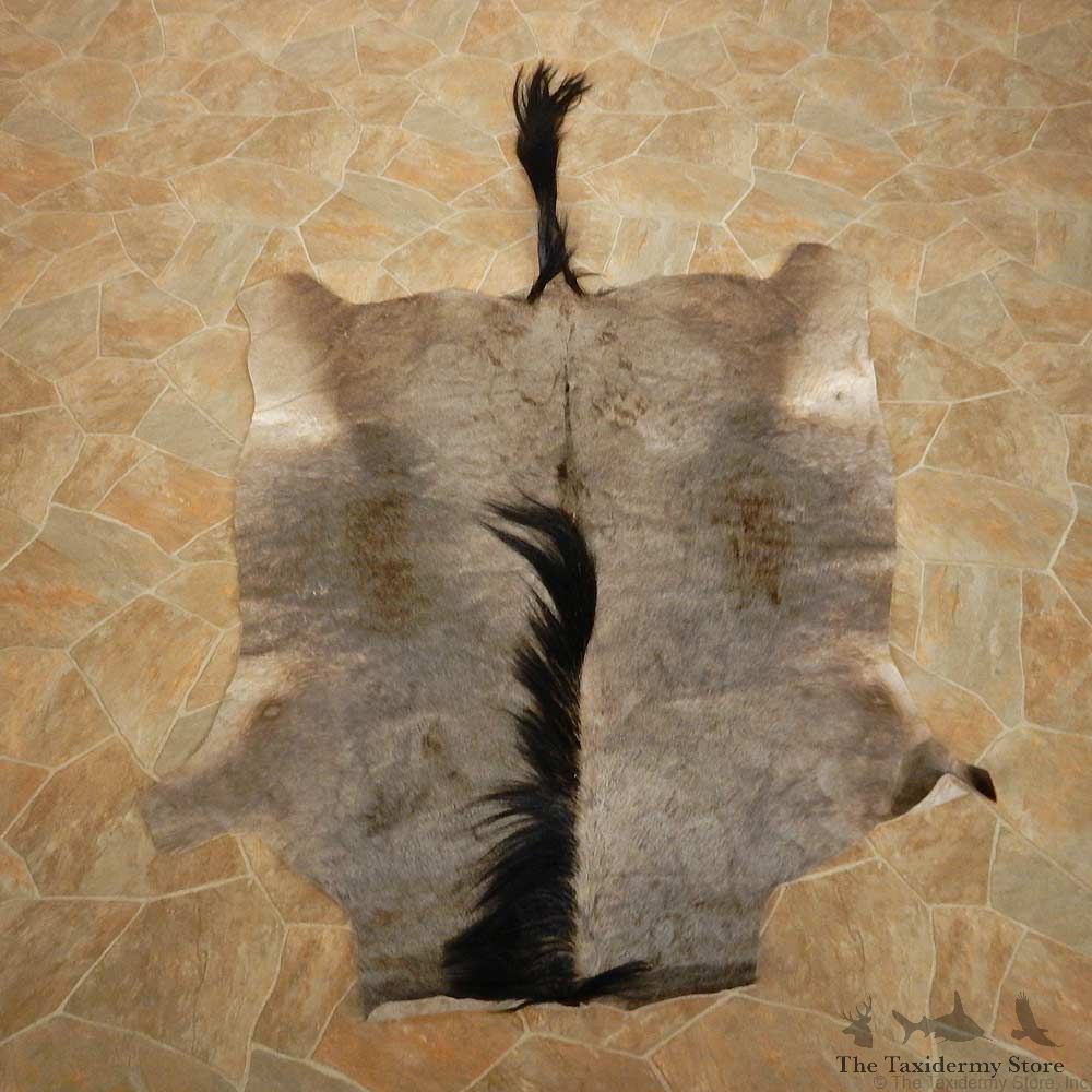 Blue Wildebeest Hide Mount For Sale #14900 @ The Taxidermy Store