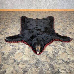 Black Bear Full-Size Rug For Sale #22533 @ The Taxidermy Store