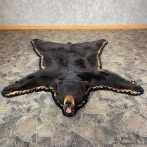 Black Bear Full-Size Rug For Sale #21172 @ The Taxidermy Store