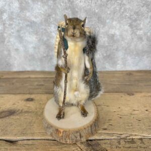 Hiking Fox Squirrel Novelty Mount For Sale #30835 @ The Taxidermy Store