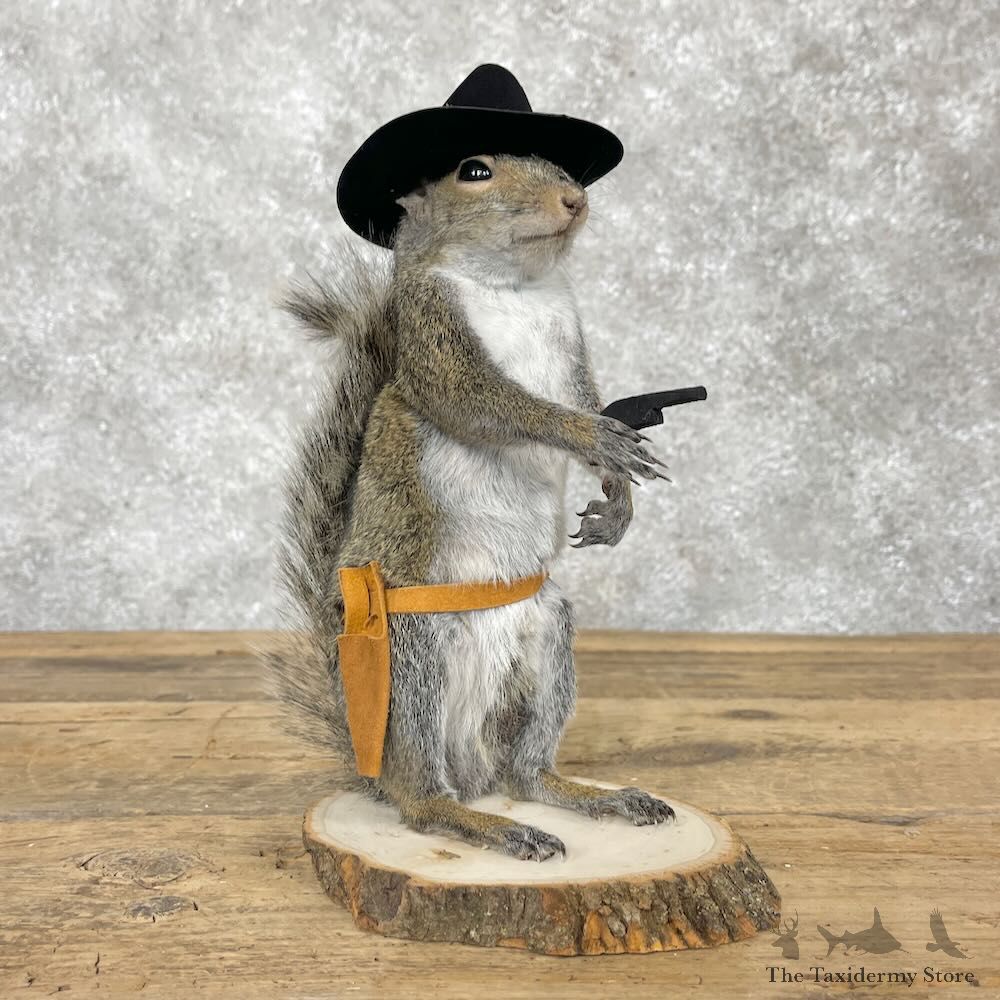 Cowboy Squirrel Novelty Mount For Sale #28601 @ The Taxidermy Store