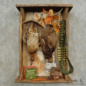 Ruffed Grouse Display Bird Mount For Sale #16678 @ The Taxidermy Store