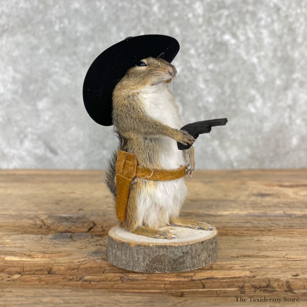 Cowboy Chipmunk Novelty Mount For Sale #26100 @ The Taxidermy Store