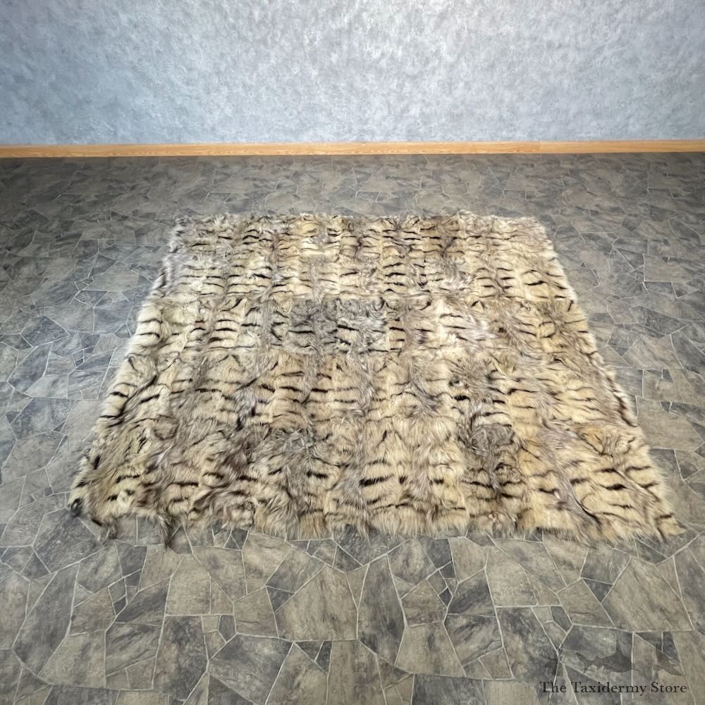 Aardwolf Taxidermy Rug Mount For Sale #27864 @ The Taxidermy Store