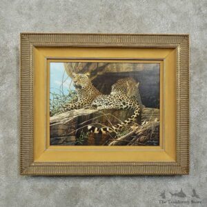 Leopard Pair Print For Sale #15754 @ The Taxidermy Store