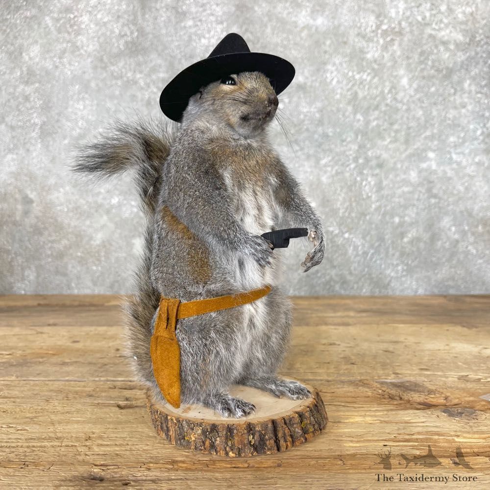 Cowboy Squirrel Novelty Mount For Sale #24973 @ The Taxidermy Store