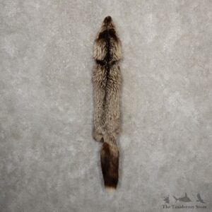 Silver Fox Tanned Hide For Sale #20672 @ The Taxidermy Store