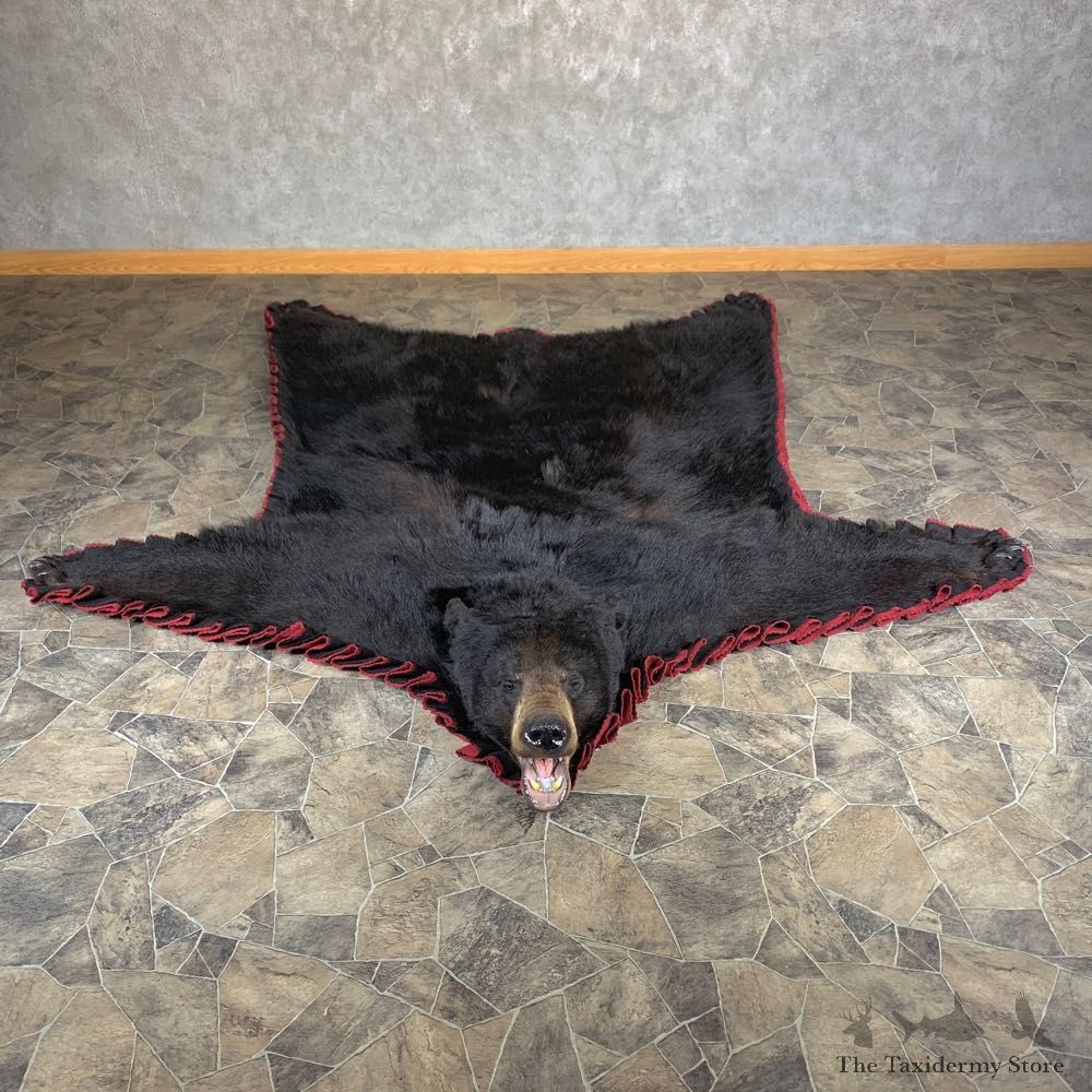 Black Bear Full-Size Rug For Sale #24001 @ The Taxidermy Store