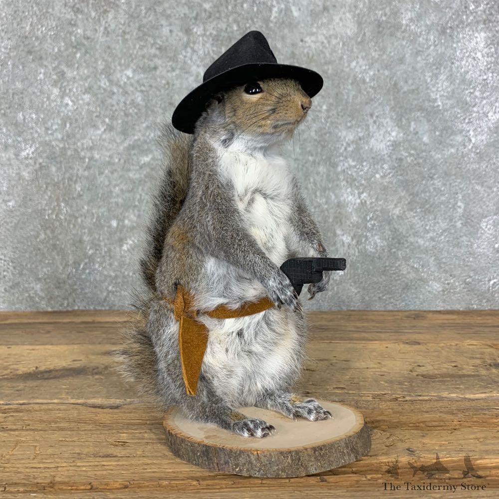 Cowboy Squirrel Novelty Mount For Sale #23048 @ The Taxidermy Store