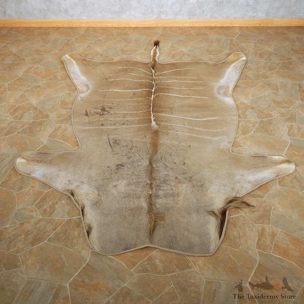 Greater Kudu Rug For Sale #14860 @ The Taxidermy Store