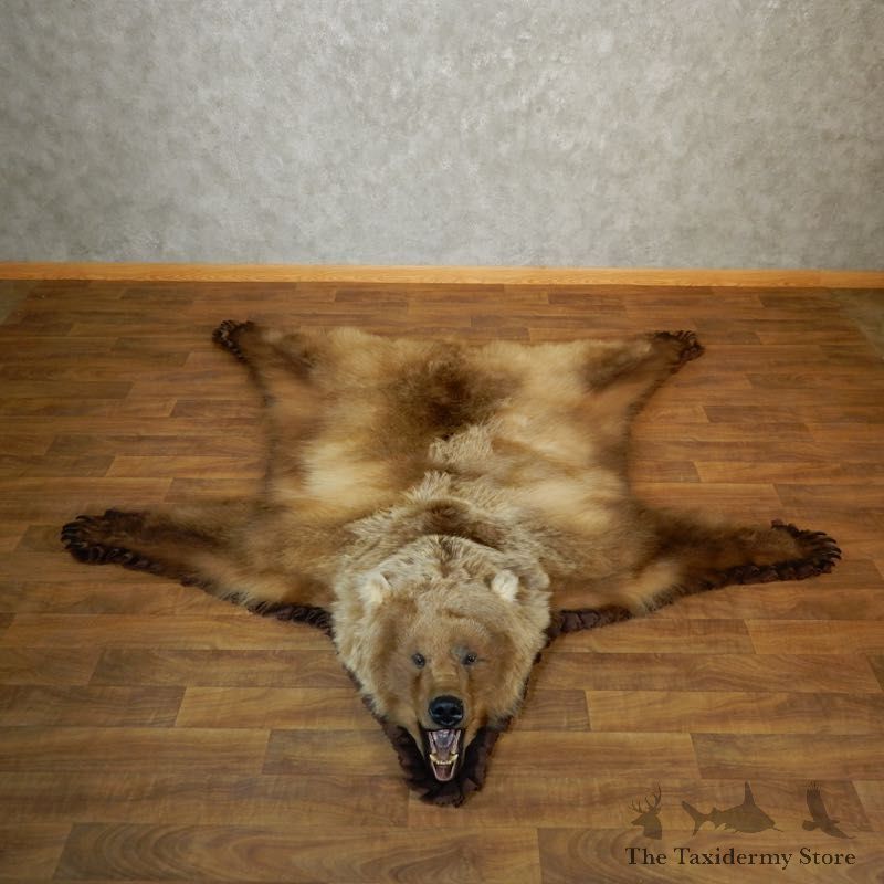 Grizzly Bear Taxidermy Rug Mount For Sale #18209 @ The Taxidermy Store