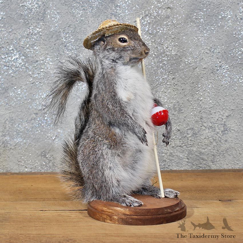 Novelty Fishing Squirrel Mount #11928 For Sale @ The Taxidermy Store
