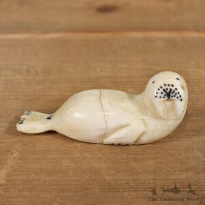 Native Ivory Seal Figurine #12084 For Sale @ The Taxidermy Store