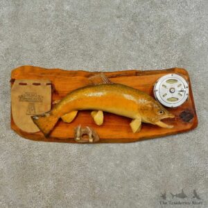 Rainbow Trout Fish Mount For Sale #16518 @ The Taxidermy Store