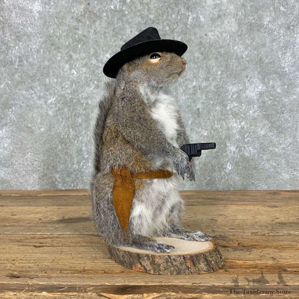 Cowboy Squirrel Novelty Mount For Sale #23051 @ The Taxidermy Store