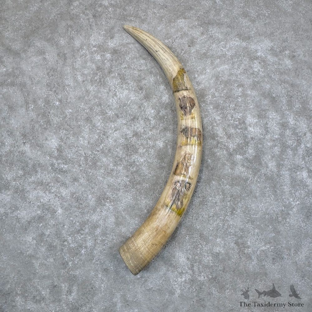 Scrimshaw Elephant Tusk Replica Decor For Sale #30096 @ The Taxidermy Store