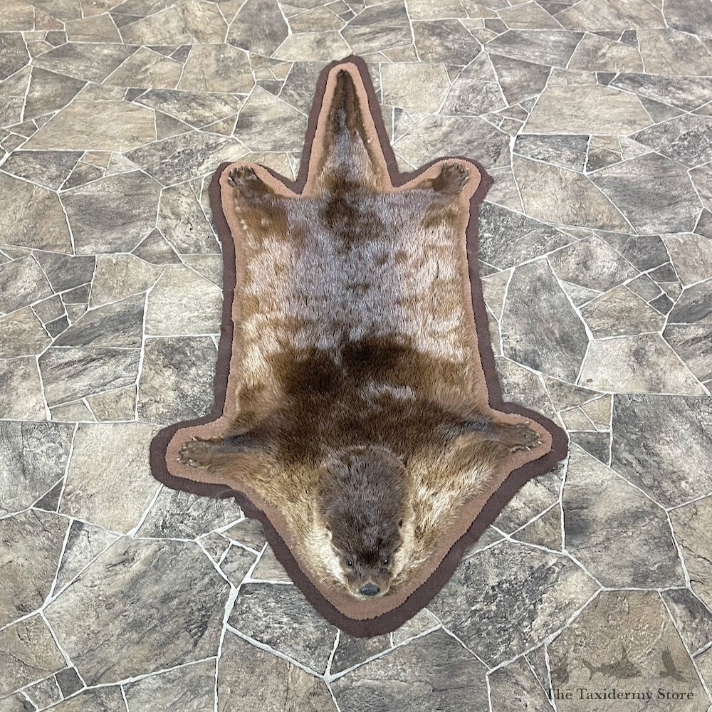 River Otter Rug For Sale #26308 @ The Taxidermy Store