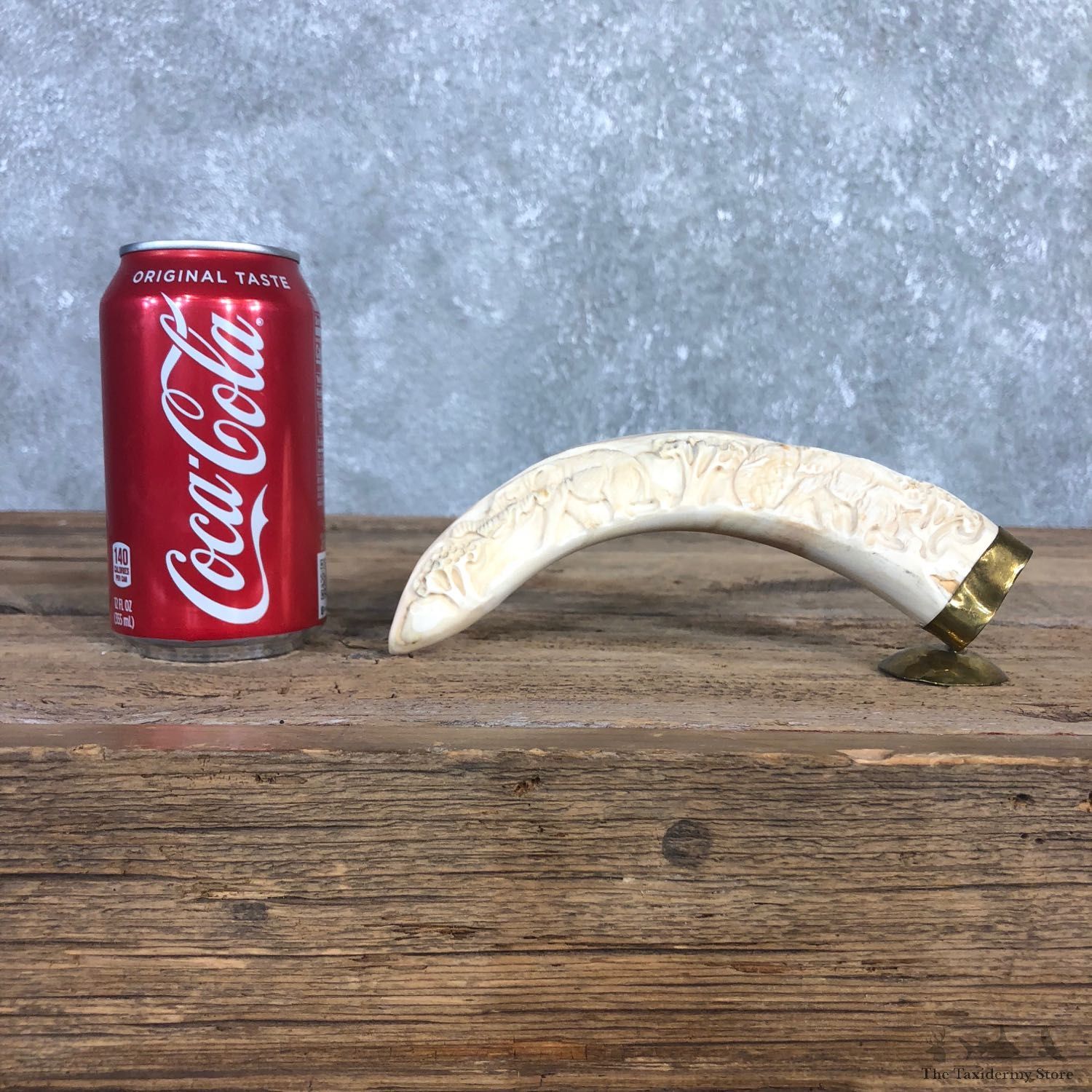 Carved Warthog Tooth For Sale #19968 @ The Taxidermy Store