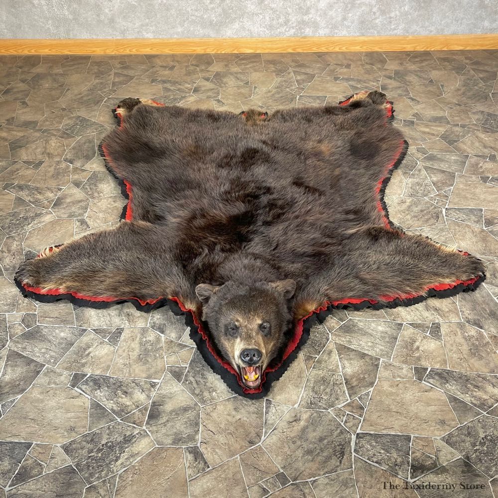Glacier Bear Full-Size Rug For Sale #24678 @ The Taxidermy Store