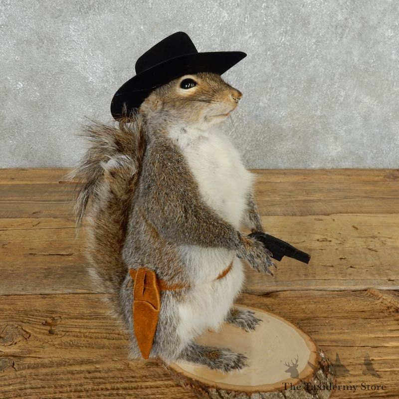 Cowboy Squirrel Novelty Mount For Sale #18194 @ The Taxidermy Store