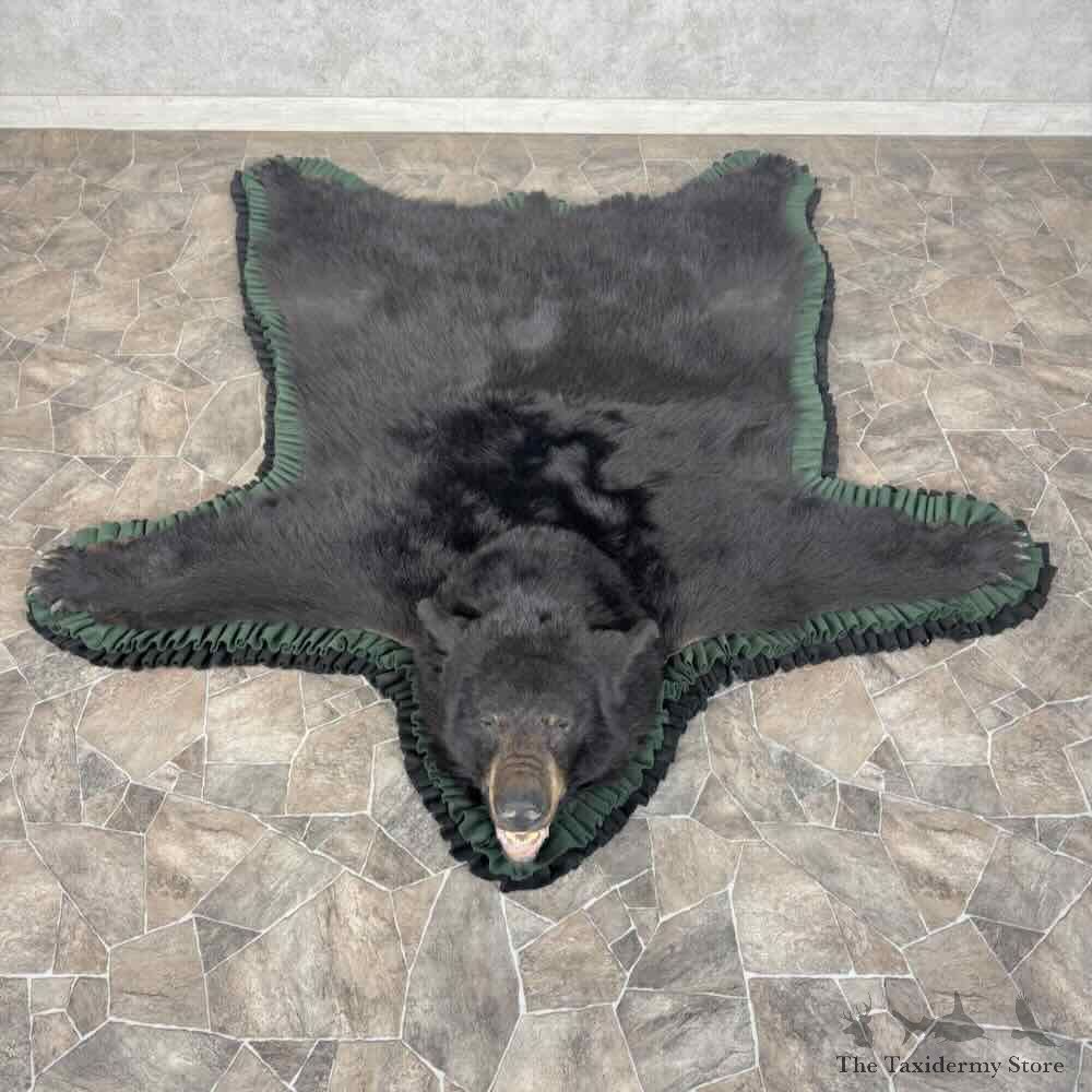 Black Bear Full-Size Rug For Sale #31874 @ The Taxidermy Store