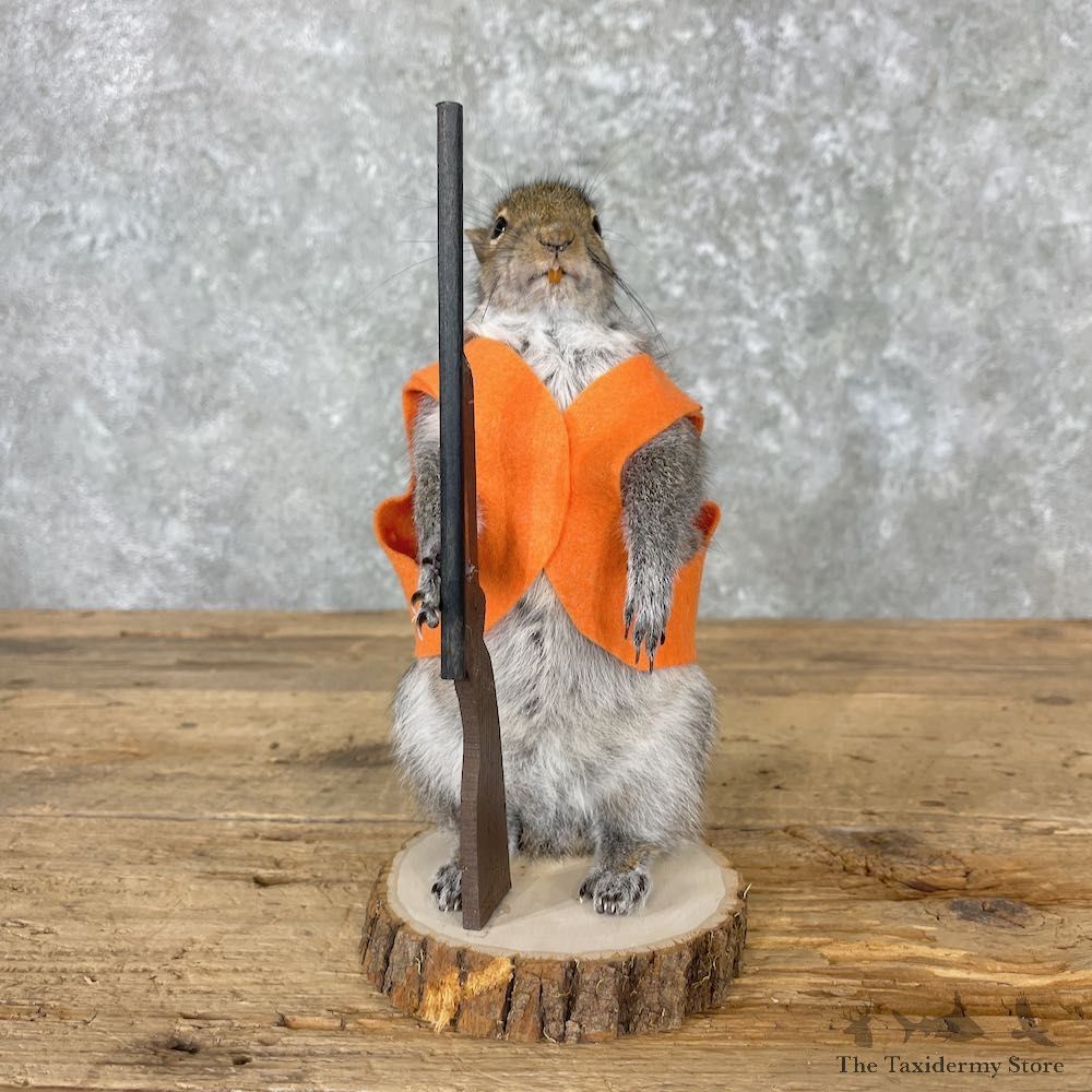 Hunting Squirrel Novelty Mount For Sale #27013 @ The Taxidermy Store