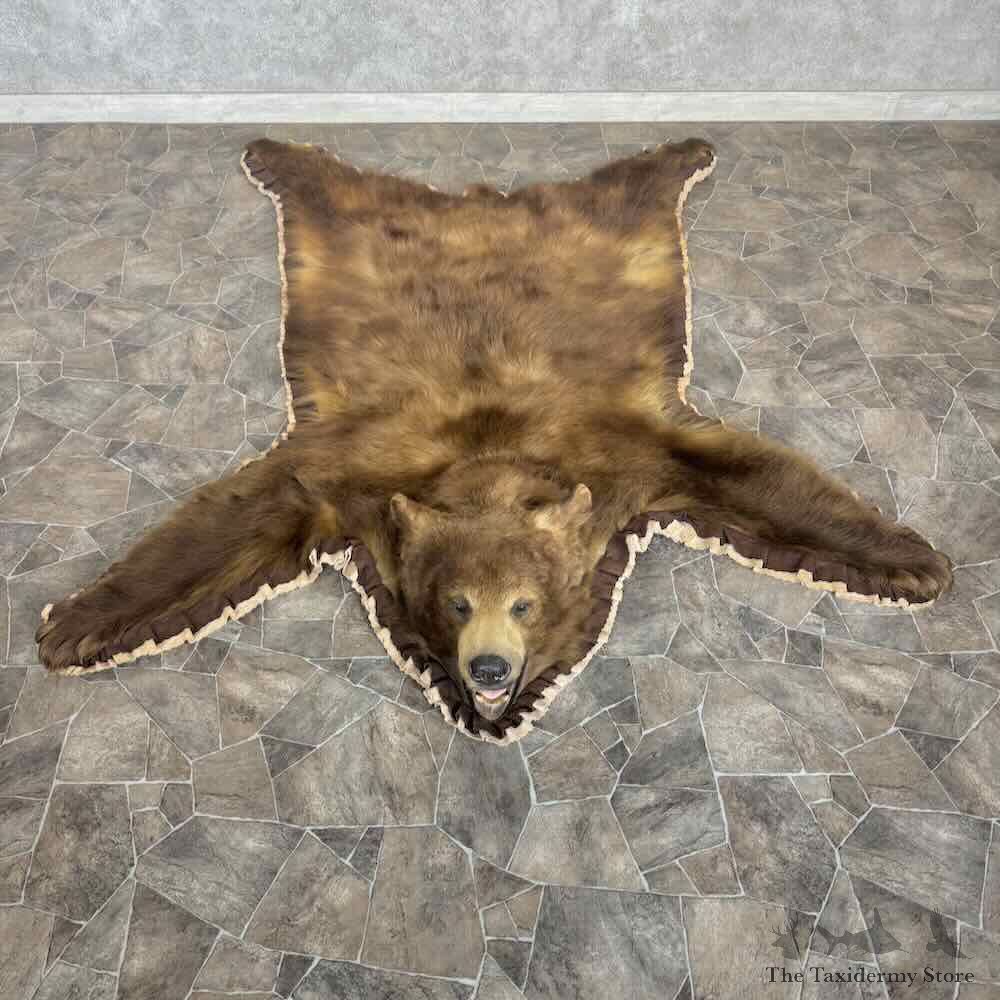Chocolate Black Bear Full-Size Rug For Sale #31024 @ The Taxidermy Store