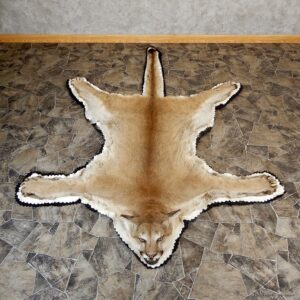 Mountain Lion Full-Size Rug For Sale #19263 @ The Taxidermy Store
