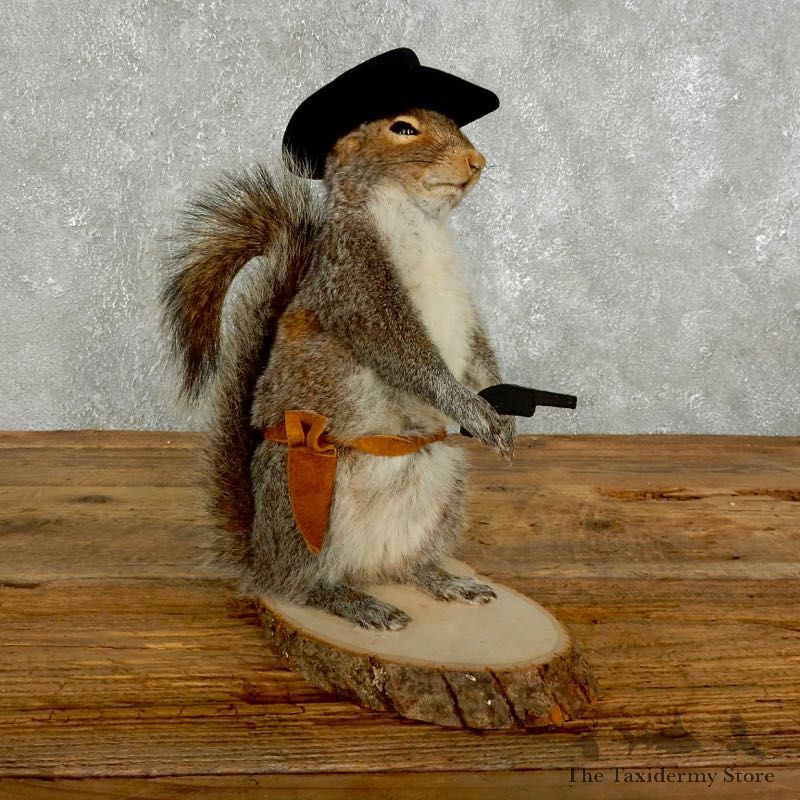 Cowboy Squirrel Novelty Mount For Sale #17618 @ The Taxidermy Store