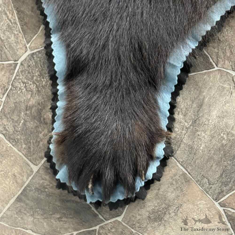 Black Bear Full-Size Rug For Sale #31034 @ The Taxidermy Store