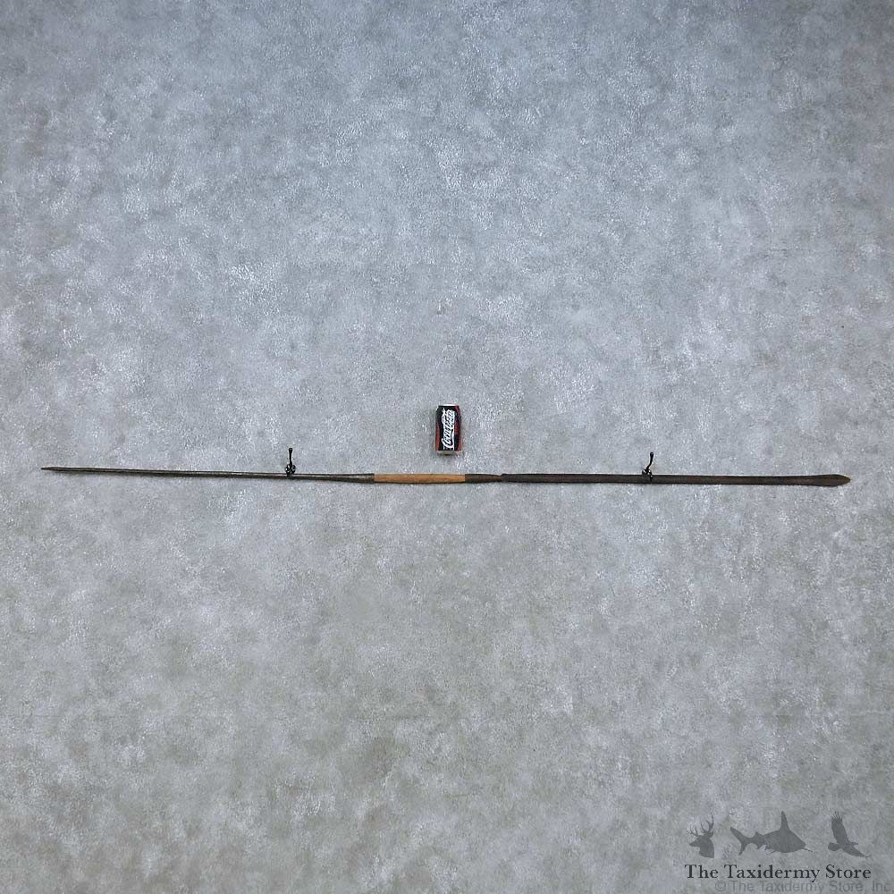 African Masai Lion Hunting Spear For Sale #15189 @ The Taxidermy Store