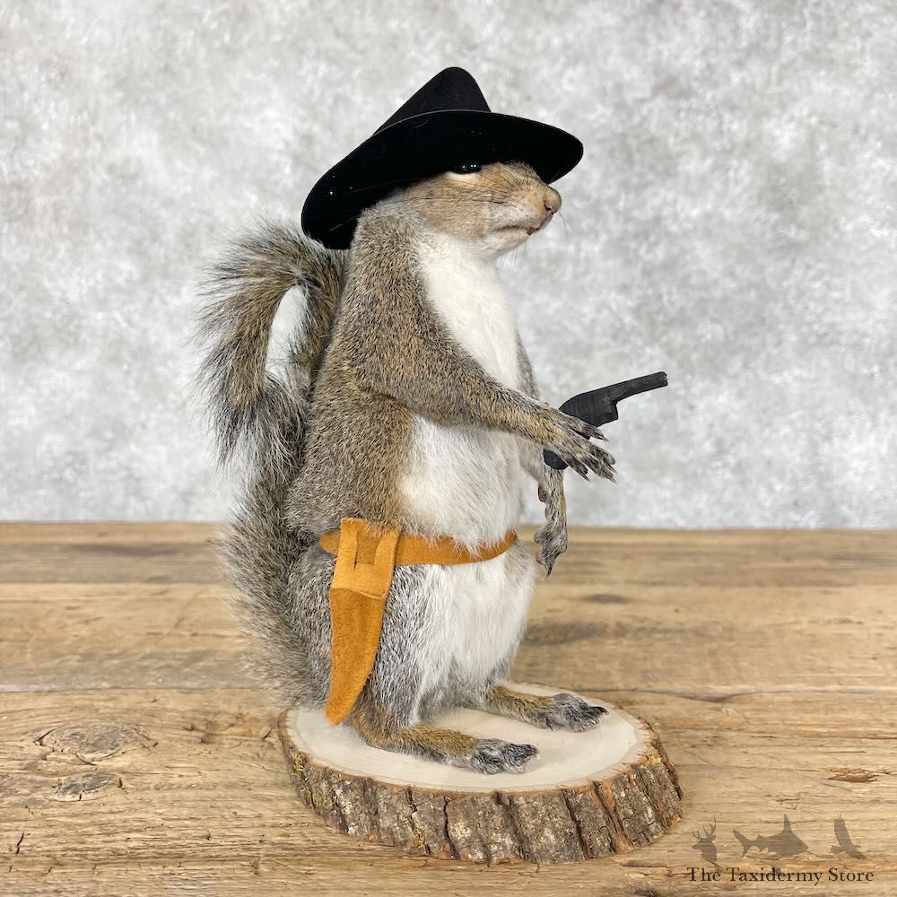 Cowboy Squirrel Novelty Mount For Sale #28607 @ The Taxidermy Store