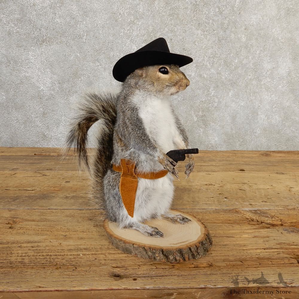Cowboy Squirrel Novelty Mount For Sale #20725 @ The Taxidermy Store