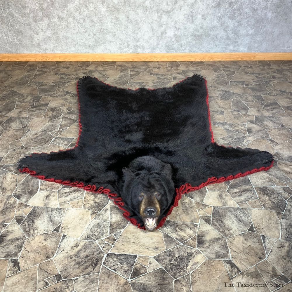 Black Bear Full-Size Rug For Sale #22113 @ The Taxidermy Store