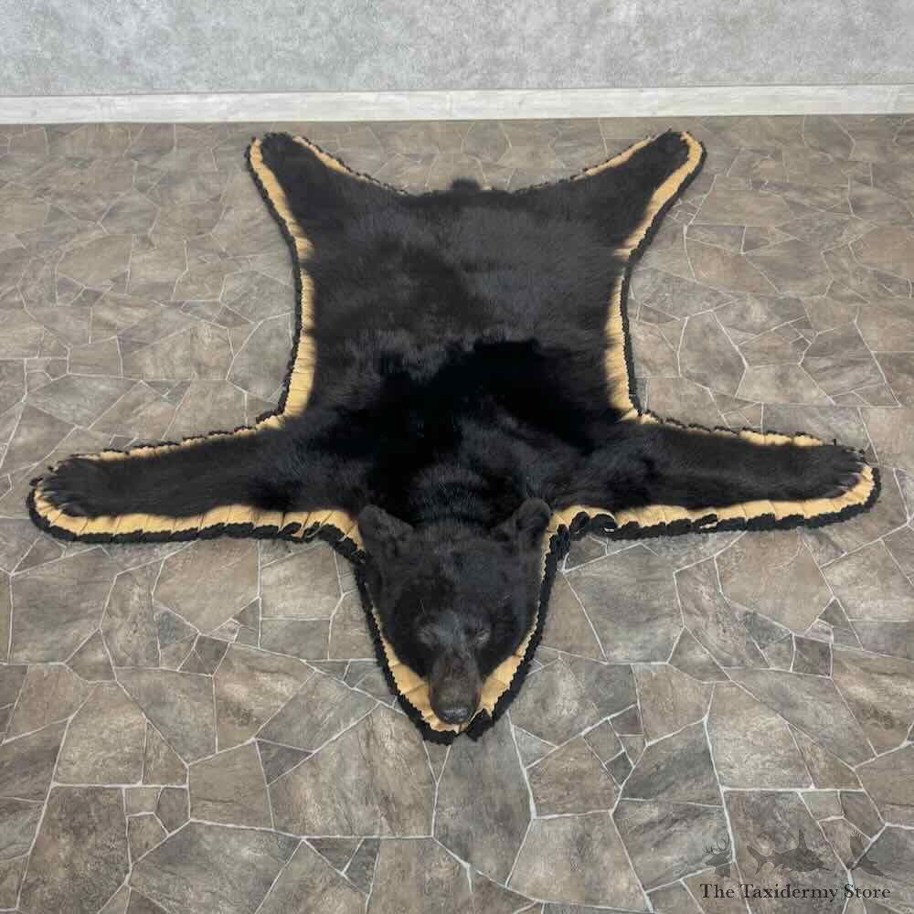 Black Bear Full-Size Rug For Sale #31032 @ The Taxidermy Store