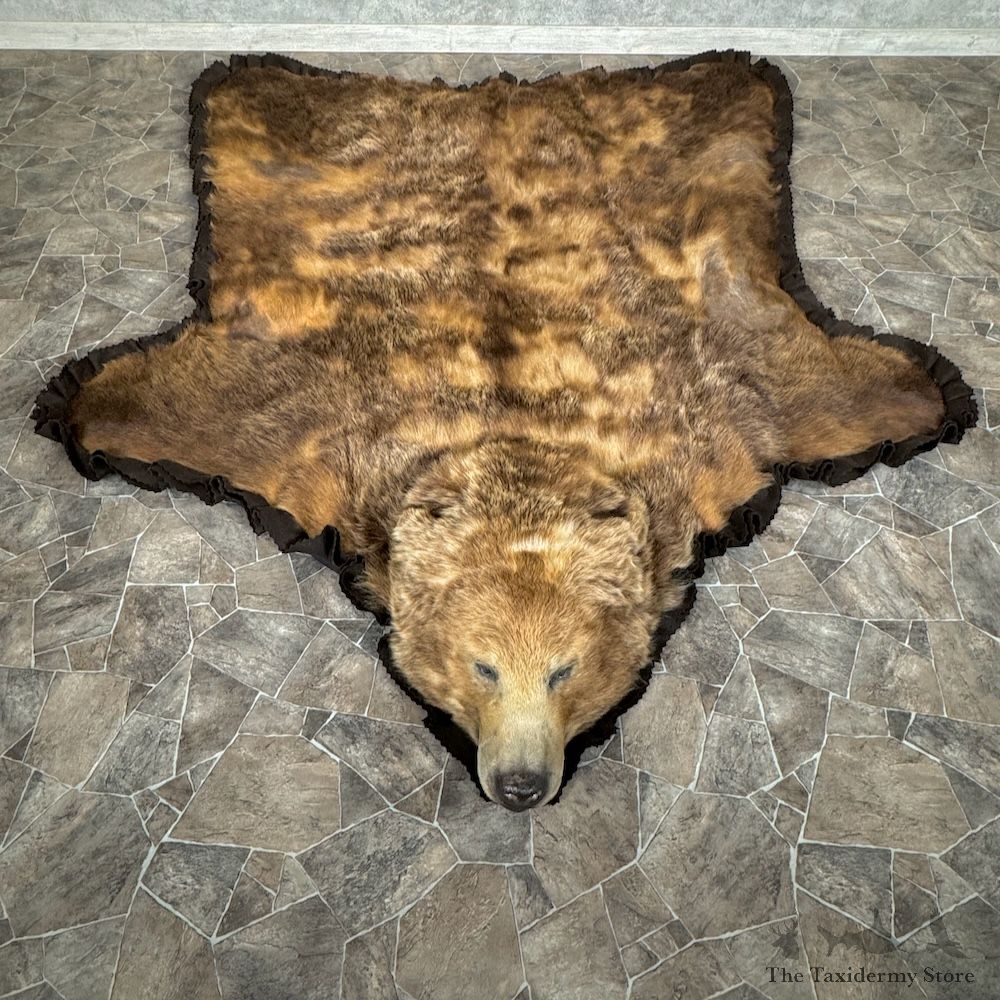 Grizzly Bear Full Size Rug Mount For Sale #29317 @ The Taxidermy Store