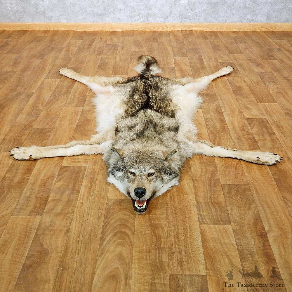 Alaskan Wolf Full Size Rug For Sale #14584 @ The Taxidermy Store