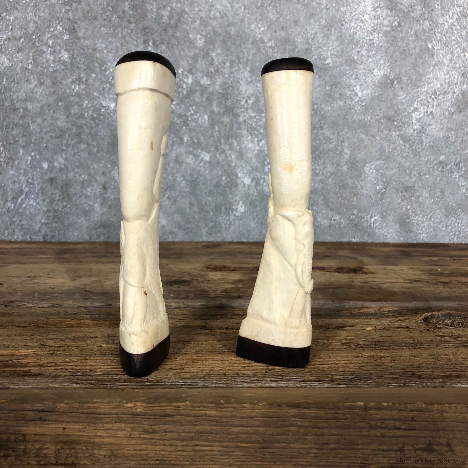 African Giraffe Bone Salt Shakers For Sale #19582 @ The Taxidermy Store