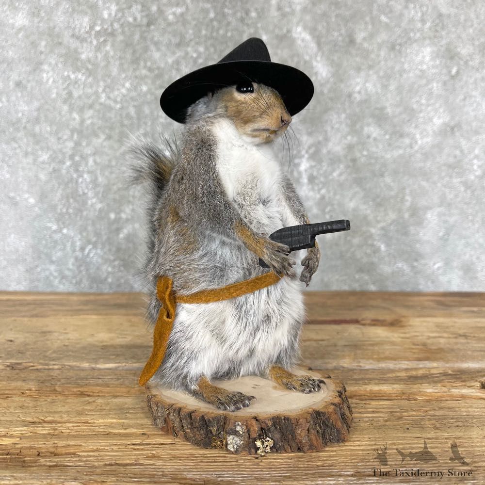 Cowboy Squirrel Novelty Mount For Sale #24360 @ The Taxidermy Store